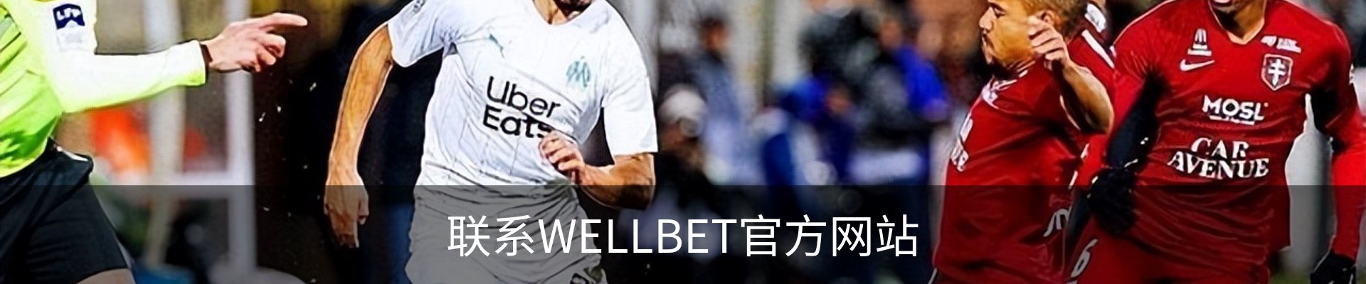 联系WELLBET官方网站